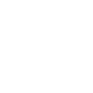 SVW Logo white