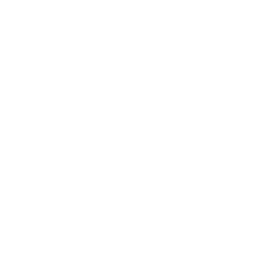 niklas error icon w