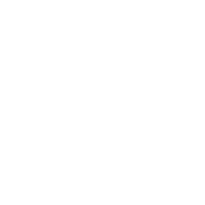 edeka logo white2